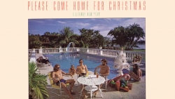 Eagles Please Come Home For Christmas